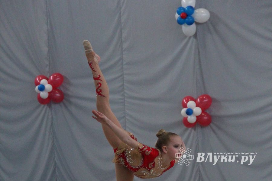 Кубок города Великие Луки по художественной гимнастике (ФОТО)