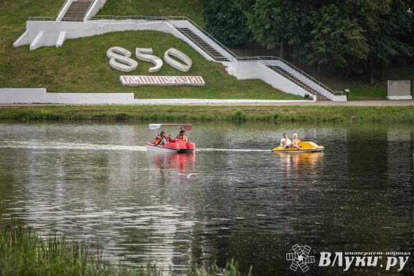 Количество свадеб резко сократилось в Псковской области