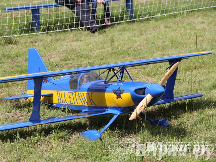 Чемпионат авиамодельного спорта России