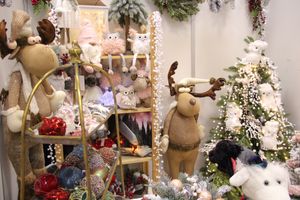 В Великих Луках открылась 10-я универсальная выставка (ФОТО)