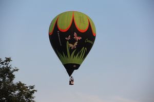 Аэростаты летают над городом (ФОТО)