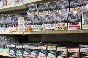 «Zooбастики»: подарите праздник своим любимцам! (ФОТО+ВИДЕО)