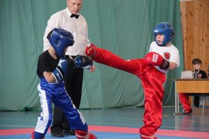 В Великих Луках проходит Кубок по кикбоксингу (ФОТО) (0+)