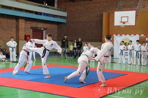 В Великих Луках прошло Первенство по тхэквондо (фото)