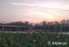 Жителям Псковской области рассказали о погоде на майские праздники