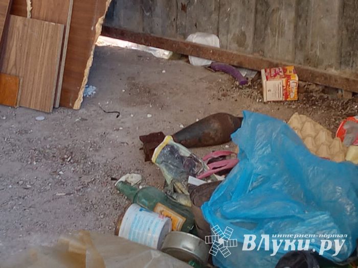 В Великих Луках обнаружили минометную мину (ФОТО)