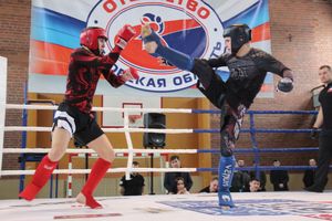 В Великих Луках прошел международный открытый Кубок по смешанному боевому единоборству (ФОТО) (16+)