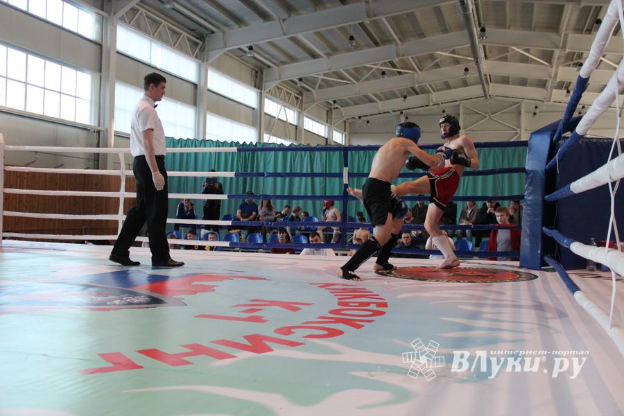 В Великих Луках прошел Кубок области по кикбоксингу (ФОТО)