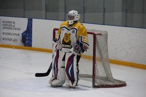 Матч в рамках Регионального Чемпионата НХЛ прошел в «Айсберге» (ФОТО)