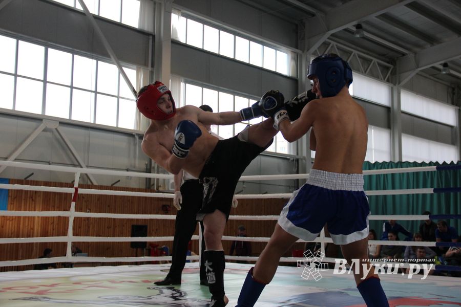 В Великих Луках прошел Кубок области по кикбоксингу (ФОТО)