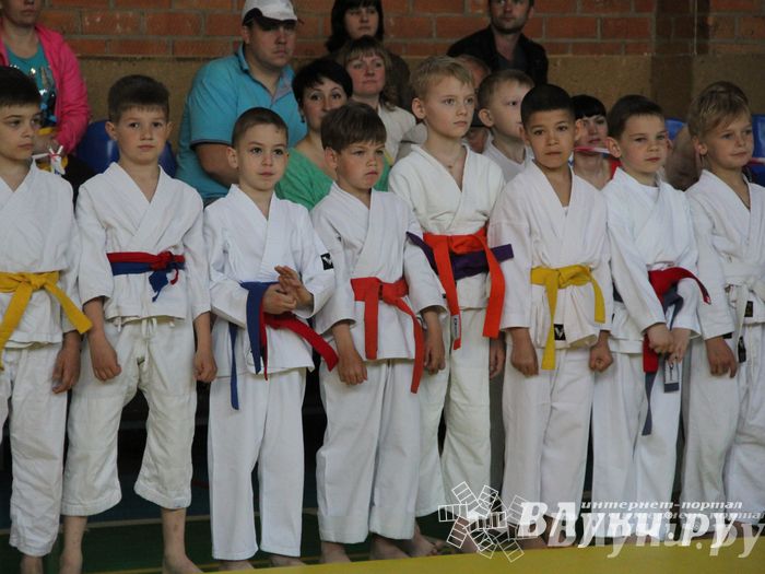 Великолучане стали победителями турнира по каратэ «Неприкосновенный запас, дети — Отчизны 2015» (фото)
