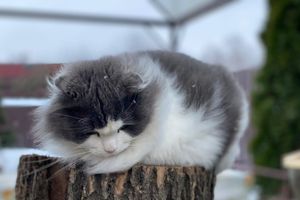 ВЛуки.ру