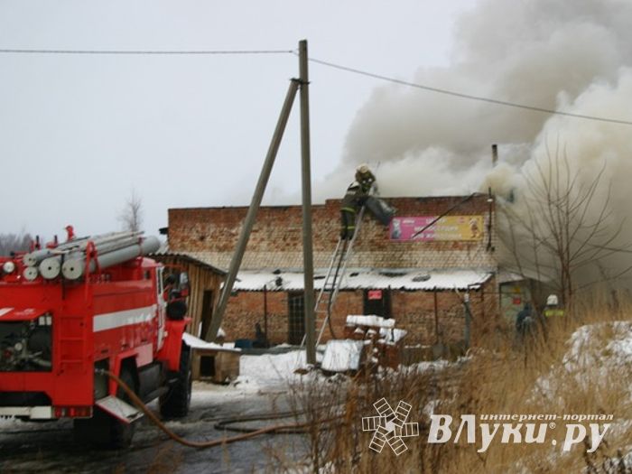 Неисправная печь в приюте для животных спровоцировала пожар