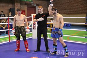 В Великих Луках прошел межрегиональный Открытый Кубок по смешанному боевому единоборству (фото)