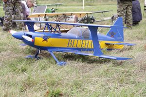 Чемпионат России по авиамодельному спорту в Великих Луках (ФОТО)