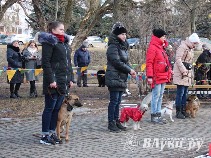 В Великих Луках широко отметили Масленицу (ФОТО)