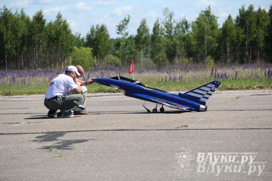 В Великих Луках прошел Фестиваль авиамодельного спорта (фото)
