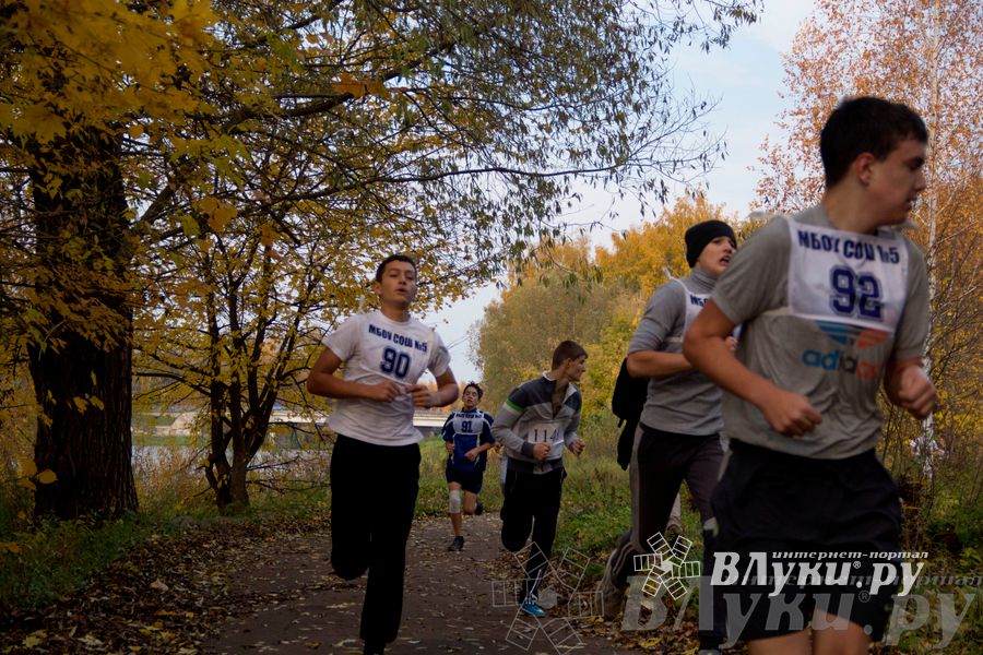 В Великих Луках прошел «Осенний кросс» 