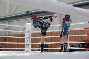 В Великих Луках проходит открытый кубок по смешанному боевому единоборству ММА (ФОТО) (12+)