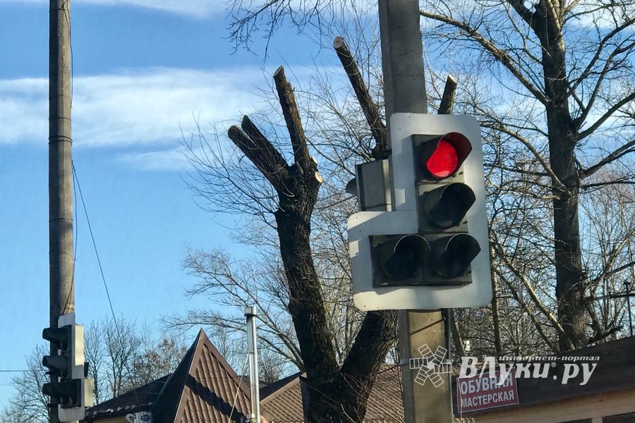 В Великих Луках удаляют угрожающие гражданам ветви (ФОТО)