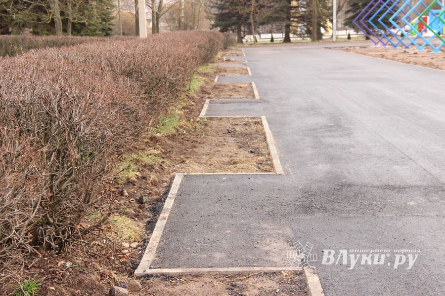 ​Великолучане могут помериться ладошками (ФОТО)