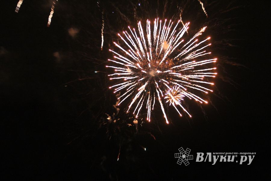 В Великих Луках зажглась новогодная ёлка (ФОТО)