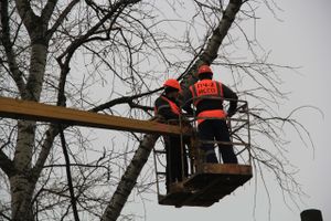 Возле железнодорожной больницы облагораживают сквер (ФОТО)