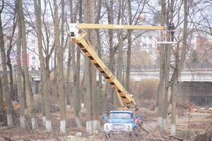 В городском парке орудует дробилка (ФОТО)