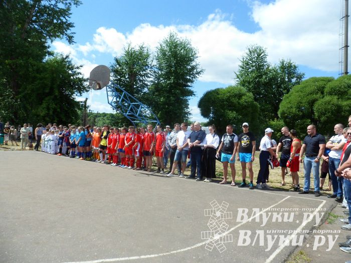 В Великих Луках прошел Всероссийский олимпийский день (фото)