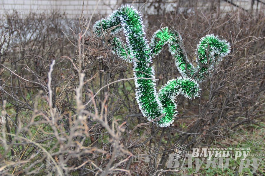 Этот странный январь