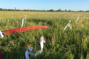 Автор фото Дарья Хвоинская