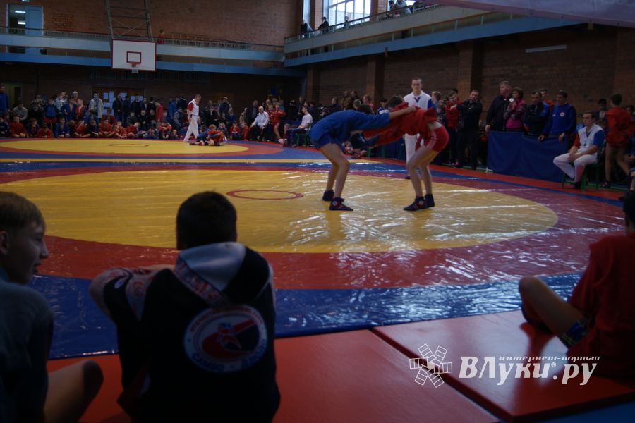 Великолучане завоевали призовые места на турнире по самбо «Память» (ФОТО)