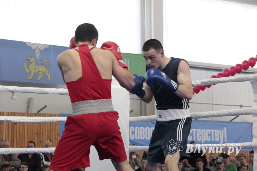 Матчевая встреча по боксу Великие Луки —Псков — Грозный (ФОТО)