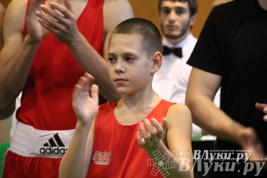 Открытие 16-го  Международного турнира по боксу