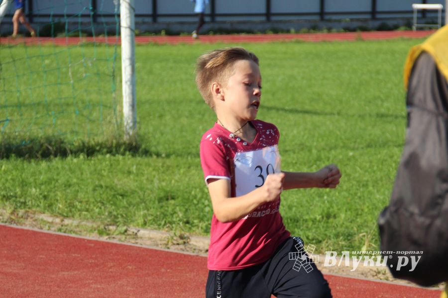 В Великих Луках проходят соревнования «Шиповка юных» (ФОТО)