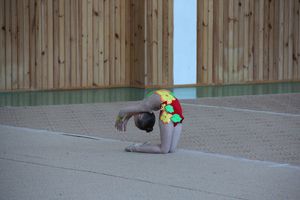 В Великих Луках прошло ​Открытое первенство города по художественной гимнастике (фото)