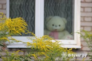© ВЛуки.ру
