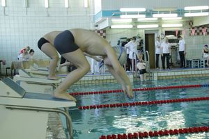 В Великих Луках прошел Чемпионат и Кубок города по плаванию (фото)