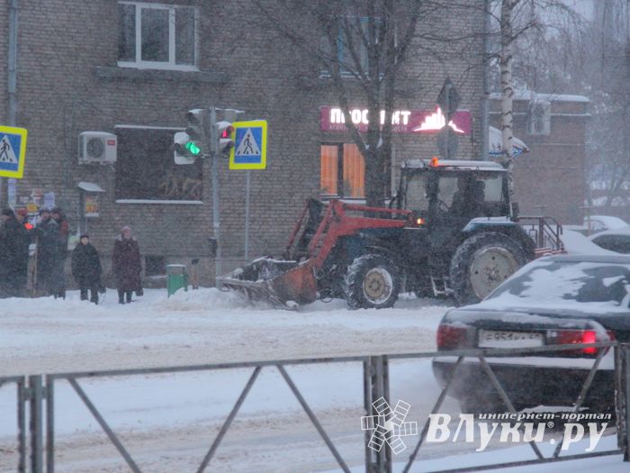 Великие Луки заносит снегом (фото)