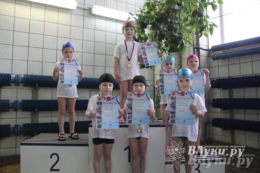 В Великих Луках прошли соревнования по плаванию «Весёлый дельфин»