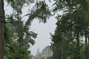 Весь ужас вчерашнего урагана в Великих Луках и районе (ФОТО, ВИДЕО)