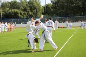 День спорта в День города: сила, мужество и грация (ФОТО)