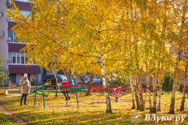 Прогноз погоды на 17 октября в Великих Луках