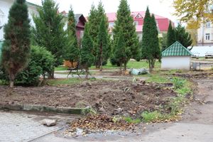 Куда исчезли пихты у Свято-Вознесенского собора в Великих Луках