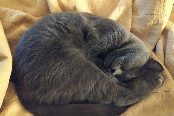 Прогноз погоды в Великих Луках на 4 декабря