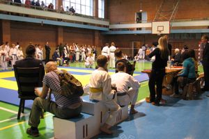 Кубок Псковской области по каратэ прошел в Великих Луках (фото)