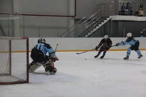 Великолукские хоккеисты в шаге от финала (ФОТО)