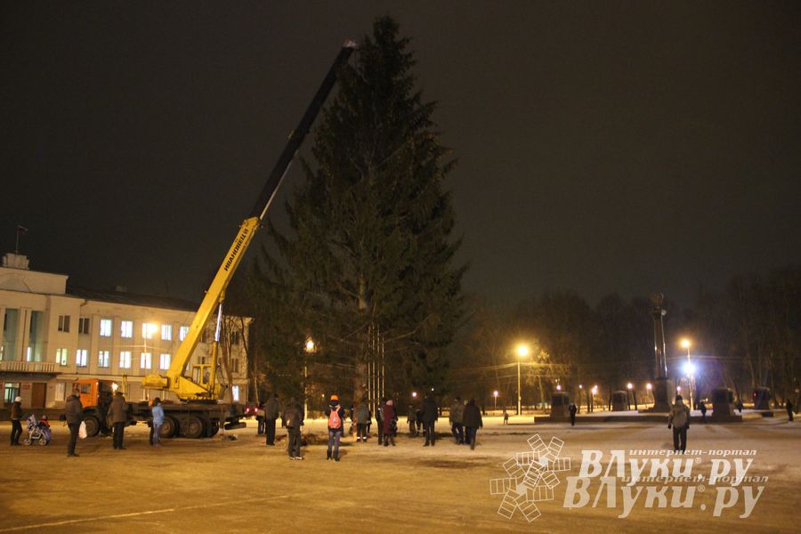 В Великих Луках установили новогоднюю елку (фото)