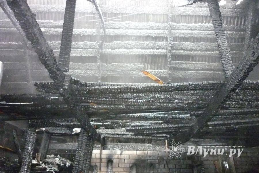 В Великих Луках сгорела хозпостройка (фото)