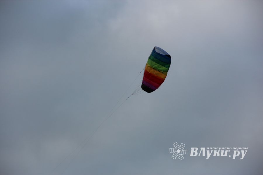 Не взлетели... (ФОТО)